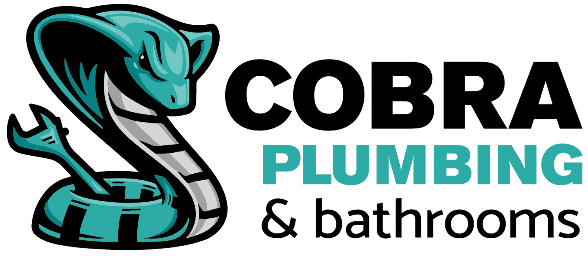 Cobra Plumbing Wollongong